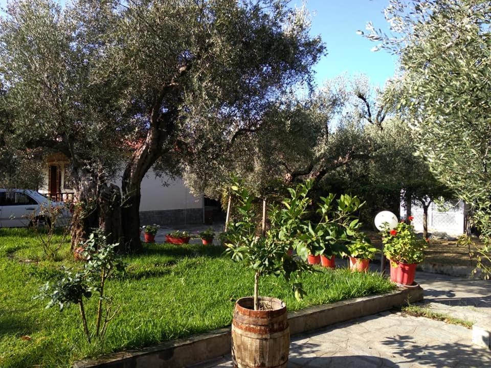 Villa Asimidou Agia Paraskevi  Luaran gambar