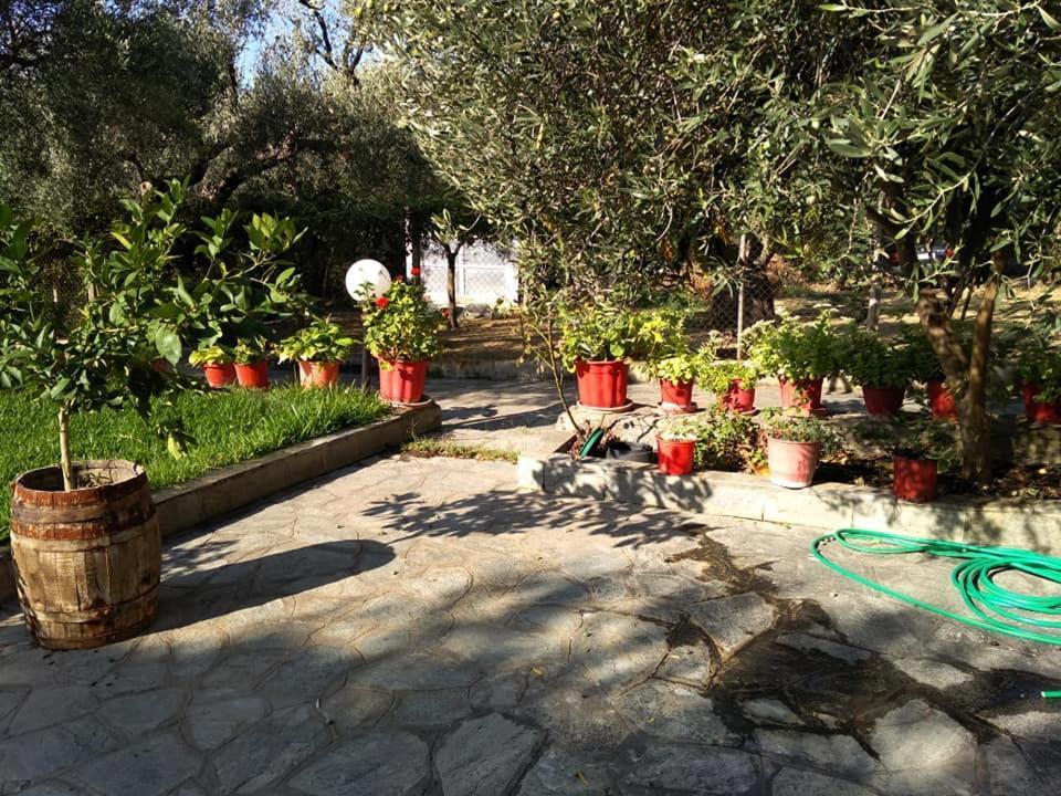 Villa Asimidou Agia Paraskevi  Luaran gambar