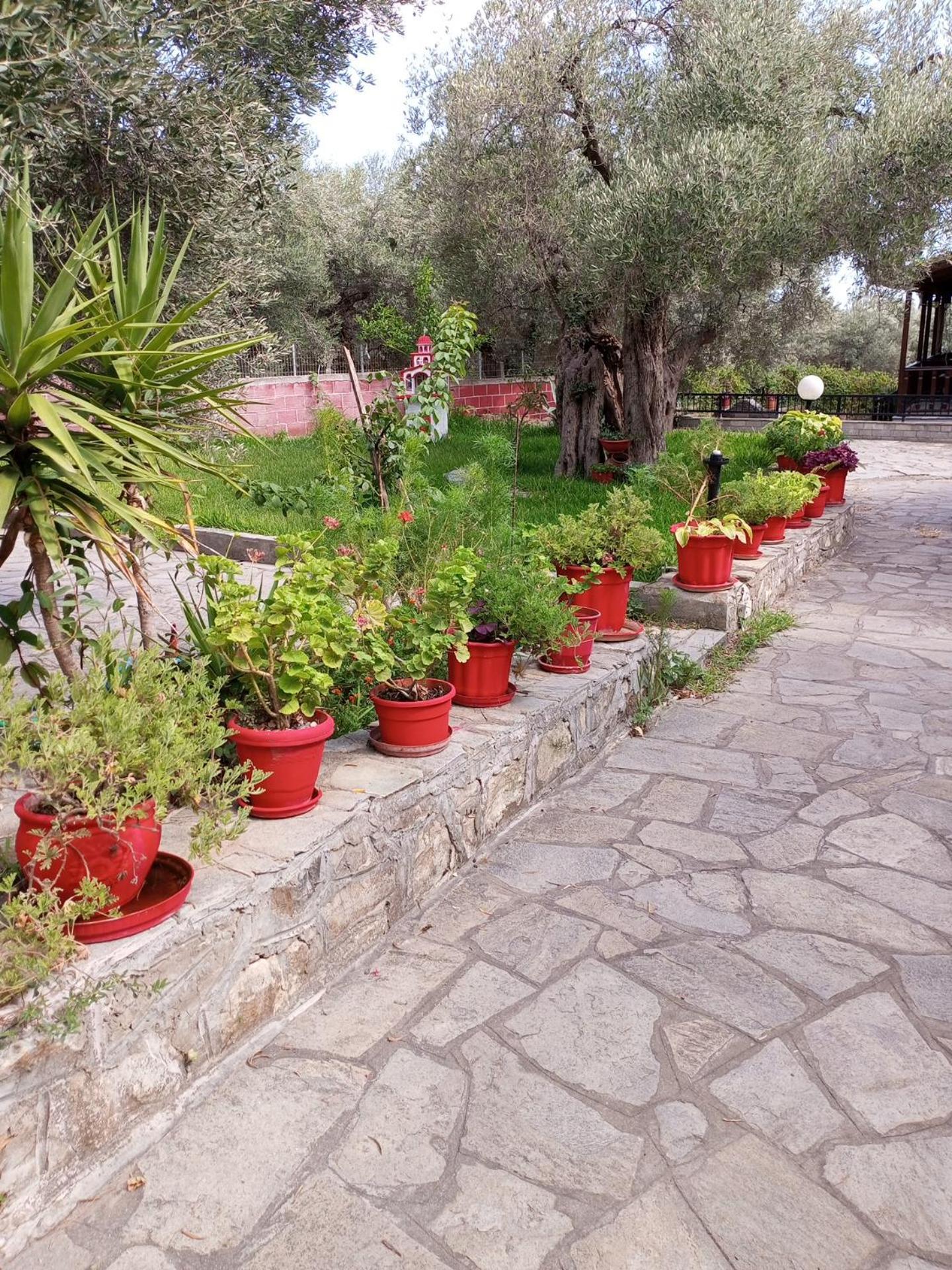 Villa Asimidou Agia Paraskevi  Luaran gambar