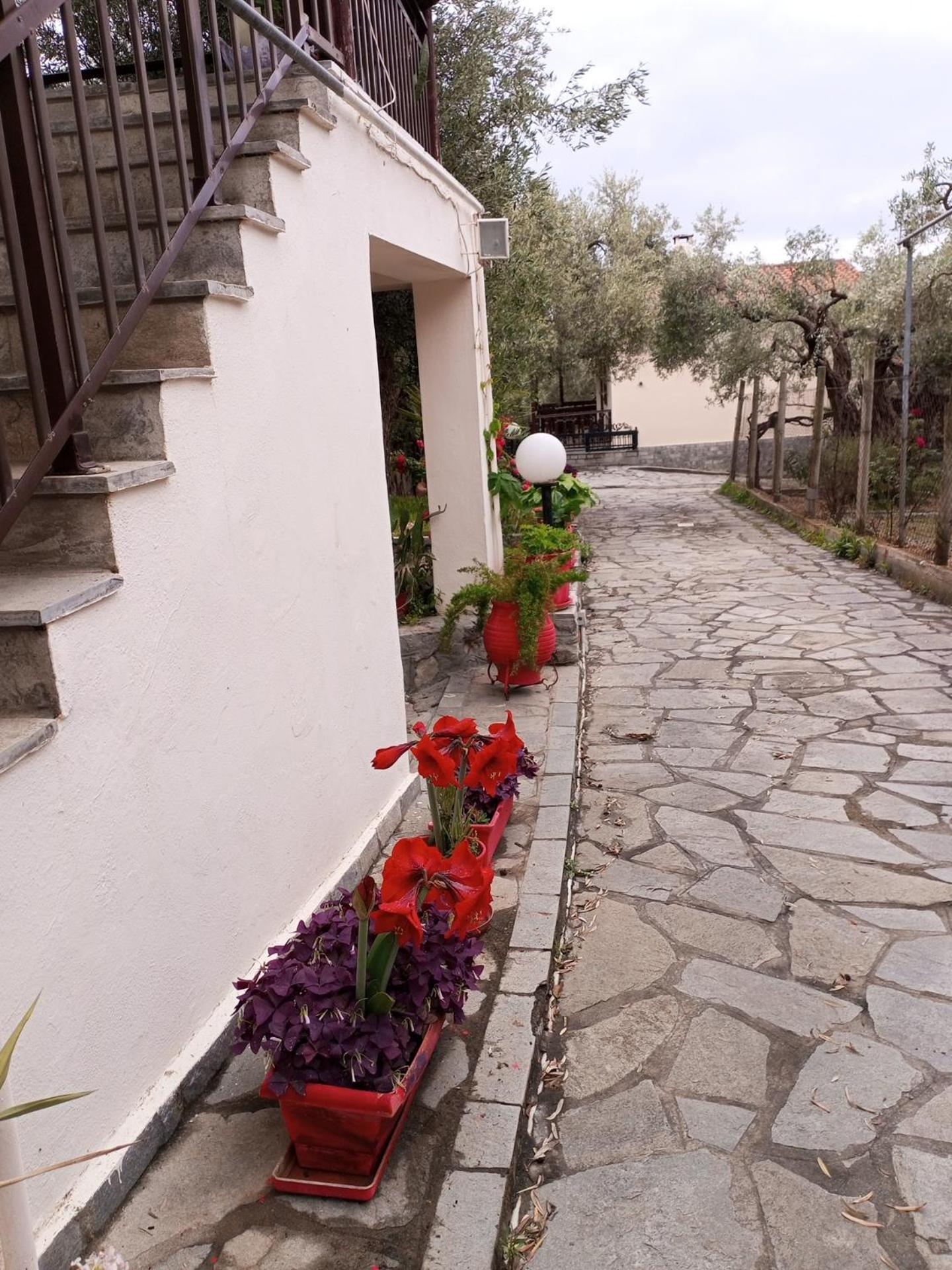 Villa Asimidou Agia Paraskevi  Luaran gambar