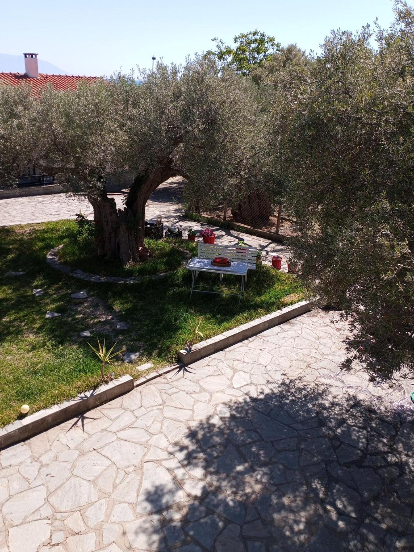 Villa Asimidou Agia Paraskevi  Luaran gambar