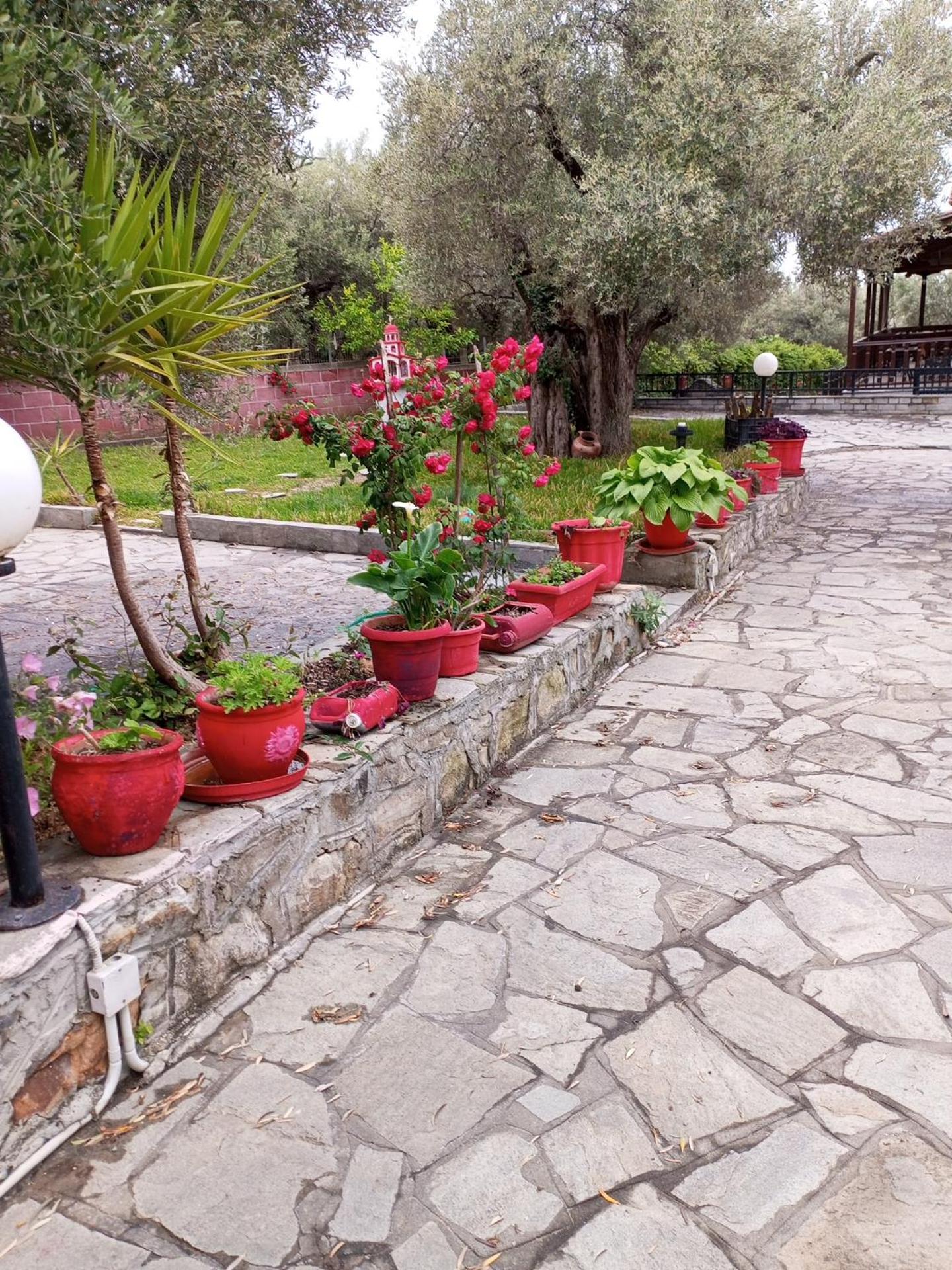 Villa Asimidou Agia Paraskevi  Luaran gambar